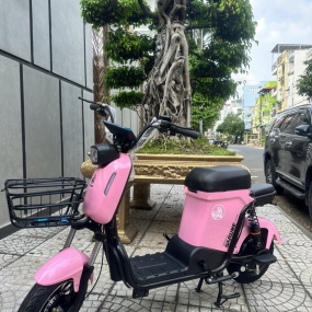 Xe đạp điện Sarune S6 - Hồng