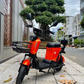 Xe đạp điện Sarune S6 - Cam