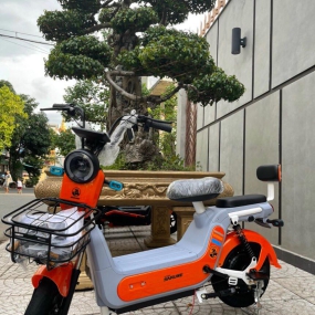 Xe điện G7 - Cam