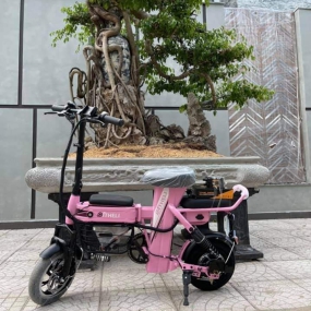 Xe Sarune Otheli - Hồng
