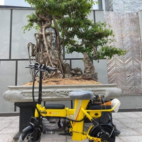 XE SARUNE OTHELI - Vàng