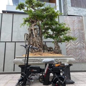 XE SARUNE OTHELI - Đen