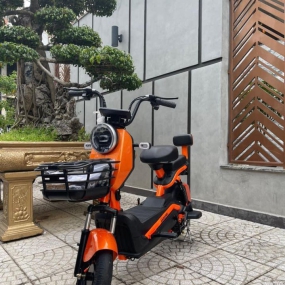 Xe điện G5 - Cam