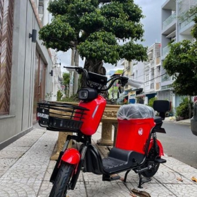 Xe đạp điện Sarune S6 - Đỏ