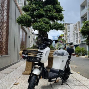 Xe đạp điện Sarune S6 - Trắng