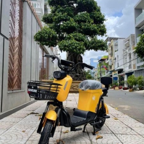 Xe đạp điện Sarune S6 - Vàng