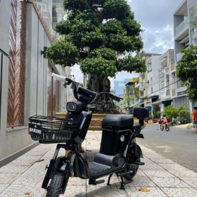 Xe đạp điện Sarune S6 - Đen