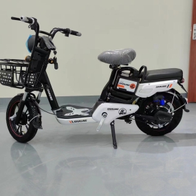 Xe Đạp Điện G8 16i Trắng