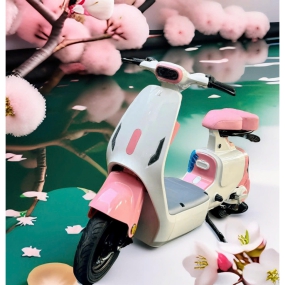 Xe điện Hottrend V1