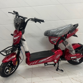 Xe Đạp Điện Sarune 133